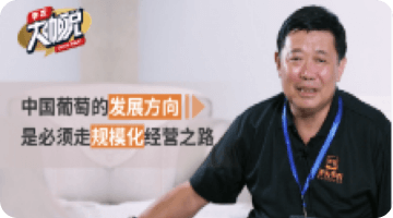 �й�ͨ�׵�����ƫ�� �Ǳ����߹�������������������ı��֮·