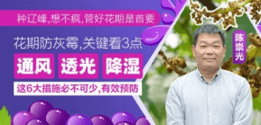 ���ڷ���ù����������������Ҫ����3��