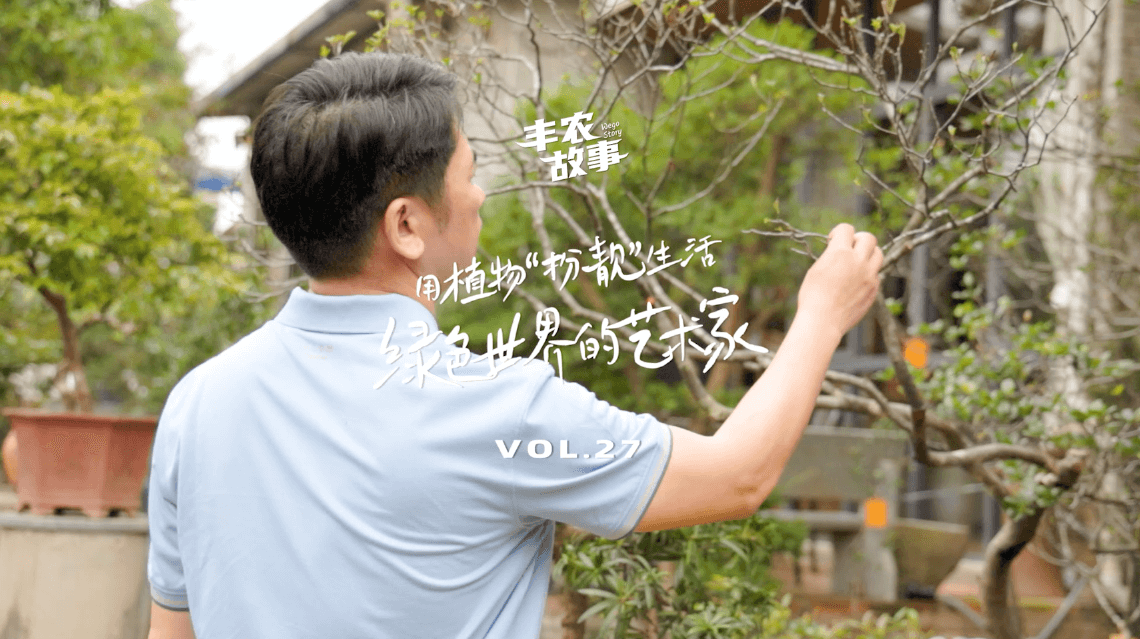 17����������������һ��һľȥ������һ�����ҡ�����������