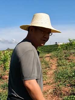 ũҵ��Ҷ������������50����ͨѶ�˿���ũҵ������������Ҫ��1000�����һ���Ρ�����������