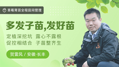 �෢��������������������