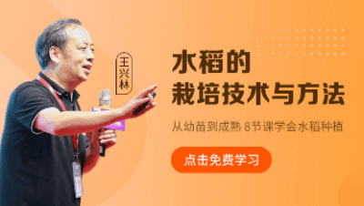 ˮ����ݪֲ������Ҫ��